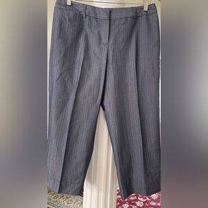 Pantology women’s blue with white needles stripes cropped pants size 10P